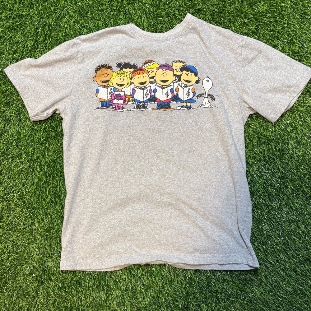Vintage Peanuts Charlie Brown grey Graphic tee shirt